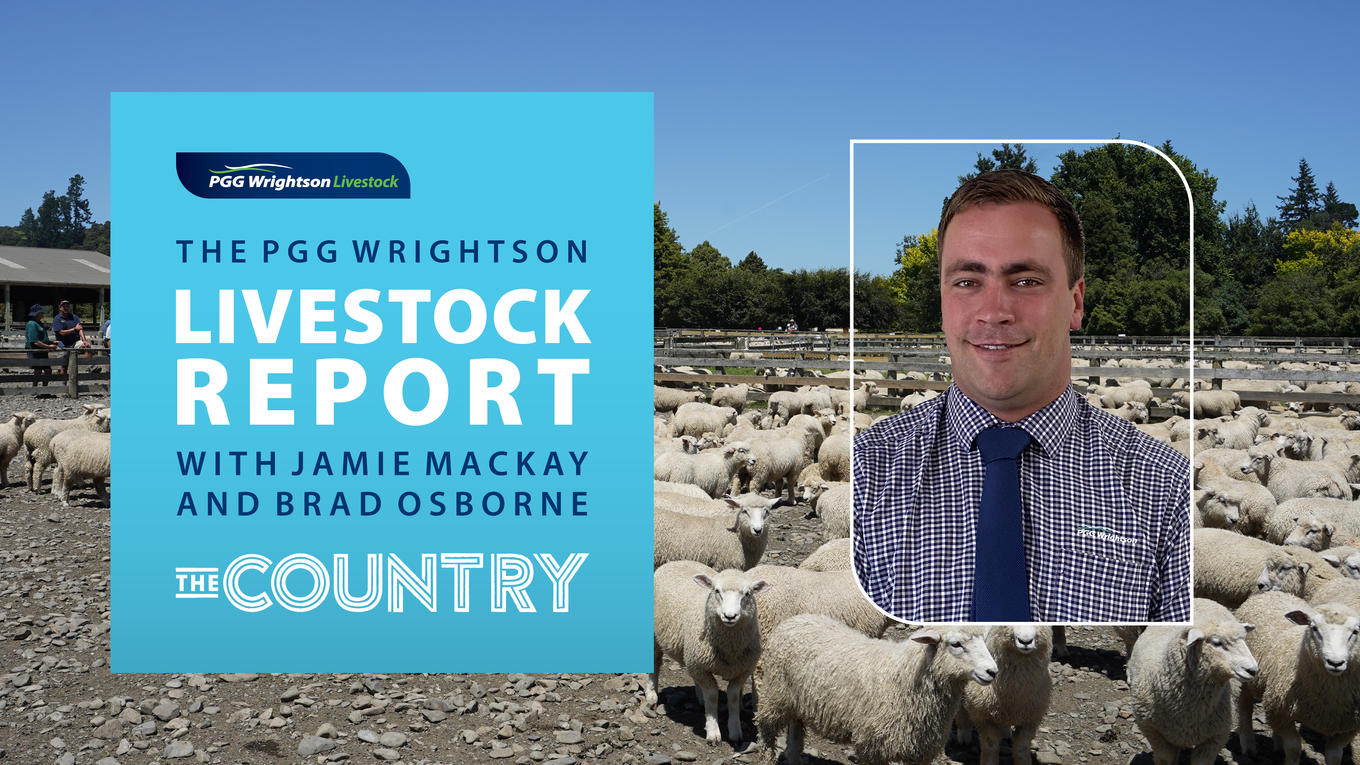 Livestock report Waikato/South Auckland update with Brad Osborne PGG